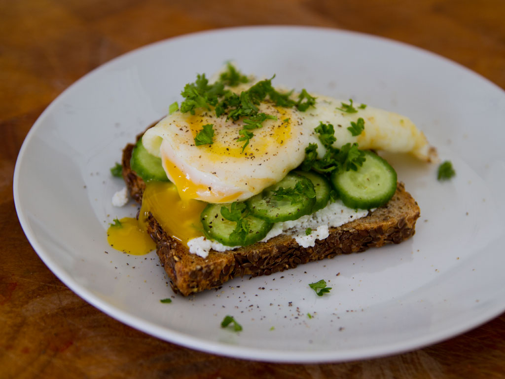 ricotta-and-egg-on-low-carb-sprouted-bread